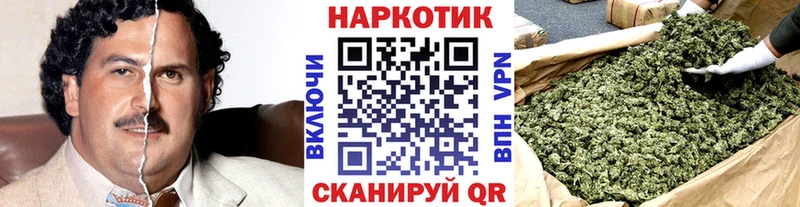 Цена Нефтеюганск hydra как войти Псилоцибиновые грибы Марихуана Героин Гашиш АМФ COCAIN СК