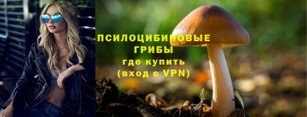 прущая мука Вяземский