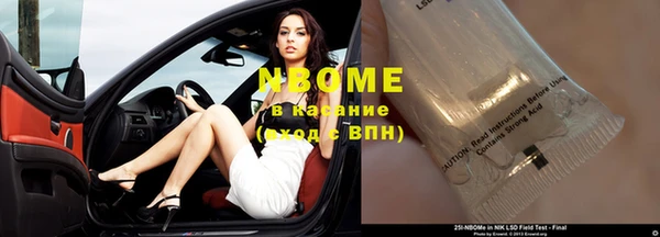 прущая мука Вяземский