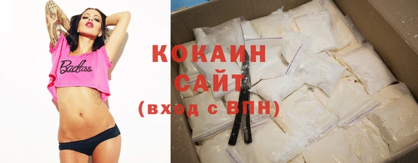 прущая мука Вяземский