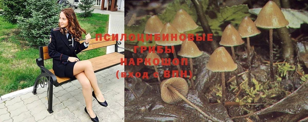 МДПВ Вязьма