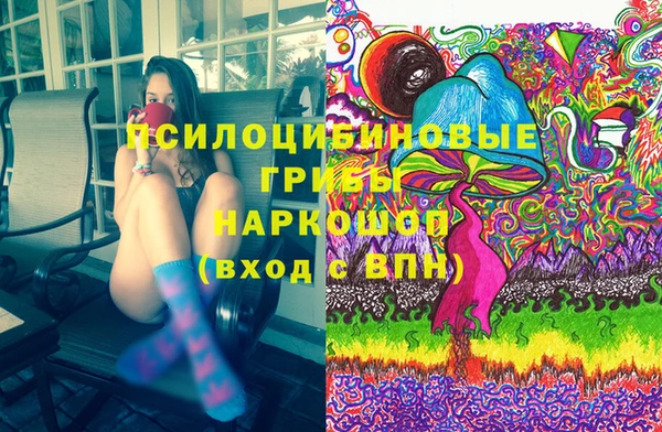 прущая мука Вяземский