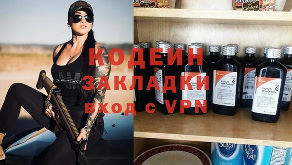 прущая мука Вяземский
