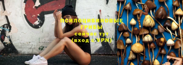 МДПВ Вязьма
